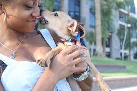 Puppy Love (101 Safe/Close)