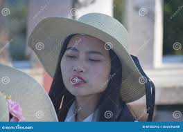 David Hamill (Hamill)