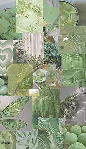 Mint green // pastel green aesthetic mint green aesthetic, aesthetic colors, green colors. Sage Green Wallpaper In 2022 Sage Green Wallpaper Green Wallpaper Cool Backgrounds Wallpapers