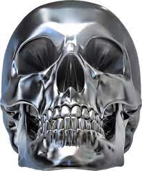 Chrome Skull Psd93901 Png 333 400 Skull Reference Skull Art Skull