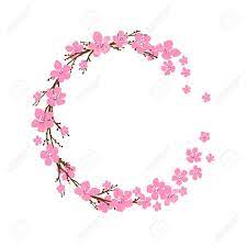 Wholesale flowers and bulk flowers for diy weddings and events. Spring Wreath With Cherry Blossoms Place For Text Royalty Free Cliparts Vectors And Stock Illustration Image 53196231