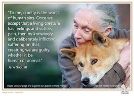 Jane Goodall Animal Rights Animal Welfare Animal Rights Quotes Animals Animal Rights