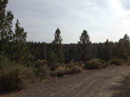 Logs, ramps, roots, to half pipes and jumps. Lower Mrazek Mountain Bike Trail Bend Oregon