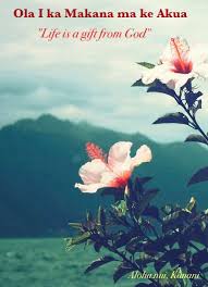 Pin On Hawaiian Proverbs And Sayings