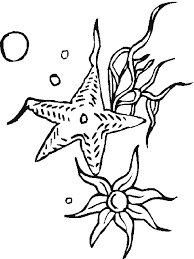 Close the template window after printing to return to this screen. Seastar Coloring Free Animal Coloring Pages Sheets Seastar