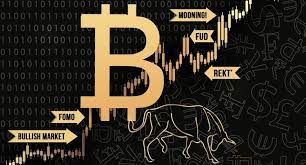 Trade bitcoin and other cryptocurrencies. 2021 Bitcoin Trading Bitcoin Mining Crypto Slang Course Udemy Free Download