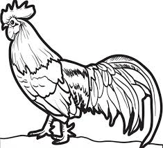 Hen and rooster colouring pages page 2 coloring home. Ilmu Pengetahuan 1 Mewarnai Ayam Goreng