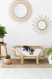 lounger dog bed pre order late june wicker dog bed dog bed pet beds