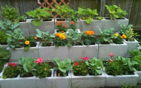 Allow the soil to be settled by a rain before planting. 15 Creative Cinder Block Raised Garden Beds Garden Lovers Club
