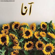 جدیدترین اخبار دانشگاهی،علمی،فن آوری،ورزشی،اجتماعی،انتخابات ریاست جمهوری، سیاسی،اقتصادی ایران و سایر مناطق جهان به ویژه منطقه خاورمیانه را در خبرگزاری آنا بخوانید | ana.ir, ana.news, anaplus.com, anaplus.ir, ana.press, ana news agency Ù…Ø¹Ù†Ù‰ Ø§Ø³Ù… Ø¢Ù†Ø§ Ù‚Ø§Ù…ÙˆØ³ Ø§Ù„Ø£Ø³Ù…Ø§Ø¡ Ùˆ Ø§Ù„Ù…Ø¹Ø§Ù†ÙŠ