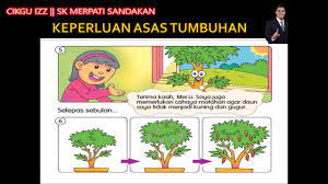 Nota dan inkuiri sains bestari tahun 4 kbsr. Guru Sains Keperluan Asas Tumbuhan Udara Air Cahaya Matahari Ruj Buku Teks Kpm Kssrpk Youtube