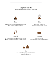 Diagram Of Poop Technical Diagrams