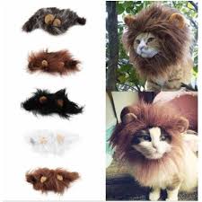 Furkan Store Kedi Aslan Yelesi Peruk Fiyati Taksit Secenekleri