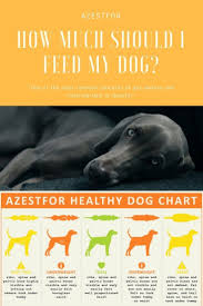 Weight Control How Much Should I Feed My Dog Dogs Ideal