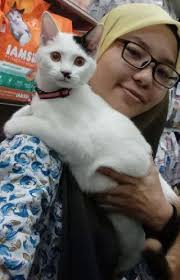 Kebanyakan kedai game ps4 di shah alam hanya focus untuk esports di playstation 4 sahaja seperti fifa, pes dan tekken tetapi kami sukakan variasi dan oleh sebab itu, kami membesarkan arsenal game dan peralatan kami. Nadya Cat Grooming Services Shah Alam