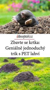 Image result for plašič krtků z pet lahve
