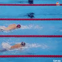 The best gifs are on giphy. United States Swimming Gif By Olympic Channel Find Share On Giphy