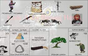 1.1.4 kode alam hewan 4d. 101 Kode Alam Burung Hantu Menurut Primbon Erek Erek Mimpi