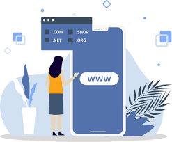 Expired Domains With Traffic To Buy And Build Websites Seekahost