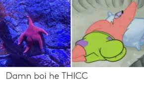 Damn Boi He Thicc Reddit Meme On Me Me