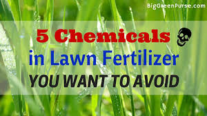 Whether for a small garden of flowers and plants, or a large farm with thousands of acres of crops, a wide range of fertilizers have been developed to help different crops grow in different soil and weather conditions. 5 Chemicals In Lawn Fertilizer You Want To Avoid Big Green Purse