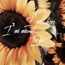 Right Where I M Supposed To Be Moving Forward Blessed Sunflower Quotes Sunflower Iphone Wallpaper Sunflower Pictures