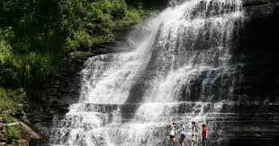 May 08, 2021 · wildland trekking company offers visitors five types of guided hiking experiences at the grand canyon. Abingdon Virginia 10 Best Hikes In Southwest Virginia