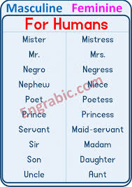 Masculine And Feminine 100 Examples Of Gender Of Nouns Engrabic In 2020 English Vocabulary Words Nouns Gender Examples