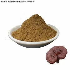 Reishi Mushroom Extract Powder at ...