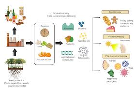 The emerging trend of manufacturing more than 50 products based on extracts from plant cell cultures have made their way into the cosmetics industry during this time, whereby. Molecules Free Full Text The Potential Of Selected Agri Food Loss And Waste To Contribute To A Circular Economy Applications In The Food Cosmetic And Pharmaceutical Industries Html