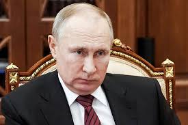 Poetin — for the president of russia, see vladimir putin poetin was a world class dressage horse that was the 2003 world young dressage horse champion in the six year old division. Definitief Goedgekeurd Poetin Kan Nog Tot 2036 In Kremlin Blijven Buitenland Hln Be