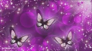 Dan menerima newsletter bulanan dengan gambar berkualitas tinggi yang terbaik. Wallpaper Indah Bergerak Purple Wallpaper Butterfly 1920x1080 Download Hd Wallpaper Wallpapertip