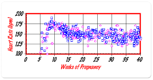 fetal heart rate for gender prediction ingender com