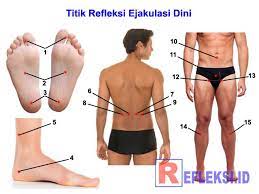 Pusat terapi kejantanan pria van nilli strong di kota kolaka hubungi kami di 081553161718. Pin Di Refleksi
