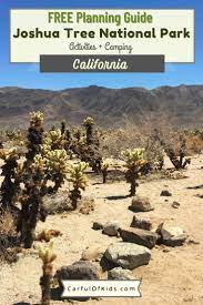 Joshua Tree National Park With Kids Carful Of Kids In 2021 Joshua Tree National Park National Parks California Ski Resorts