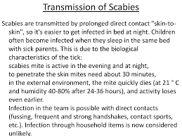 Image result for scabies transmission