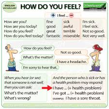 This english lesson will teach students how to talk about health problems and feelings of sickness/illness. Health Problems English Vocabulary