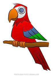 How To Create A Parrot Drawing That Looks Great