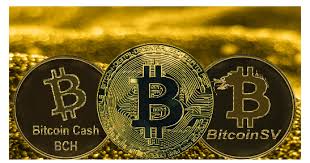 How much is 1 bitcoin cash in bitcoin sv? Btc Hard Forks Bitcoin Cash Bch And Bitcoin Sv Rally To Fresh Highs