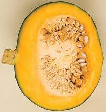 # 1 | start your mini kabocha kurinishiki seeds indoors a month before the last expected frost. Sweet Mama Kabocha Squash Seeds West Coast Seeds