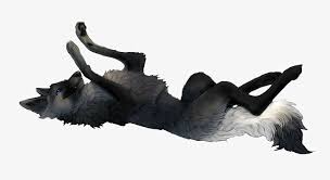 Maybe you would like to learn more about one of these? Click This For Wolf Pic Ignore If Not Werewolf Png Black Fox With Blue Eyes Transparent Png 748x377 Free Download On Nicepng