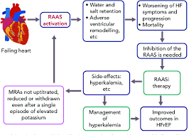 An increase in renin normally produces an increase in aldosterone through angiotensin intermediates. Role Of Renin Angiotensin Aldosterone System And Its Inhibitors In Download Scientific Diagram