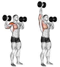 The standing dumbbell press is a solid mass building compound movement that can. Dumbbell Overhead Press At Home Dumbbell Home Overhead Press Shoulder Workout Dumbbell Chest Workout Dumbell Workout