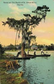 Its headwaters are at blue cypress lake in indian river county and empties through its mouth into the atlantic ocean, east of jacksonville. St Johns River 1910 Florida Travel Vintage Florida Florida Vacation