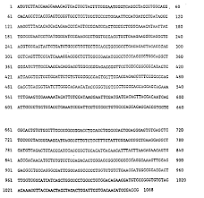 Check spelling or type a new query. Ep0382174a1 Derivative Of A Tissue Plasminogen Activator Google Patents