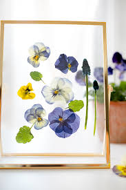 Sep 03, 2020 · pour the desiccant into a microwave safe bowl. How To Dry Flowers In Seconds