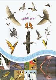 الفصل الأول عالم الطيور الطيور كائنات تنتمي إلى مجموعة الفقاريات وقد غزت الهواء بفضل عدد من الصفات kids education animals education