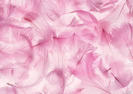 epingle par mairani hernandez sur pink only pink toiles de fond plumes roses la vie en rose