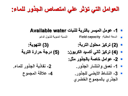 3 فقد النبات للماء النتح Ppt Download