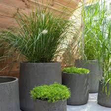 Pot De Fleurs En Ciment Gris Castorama Deco Jardin Amenagement Jardin Jardins